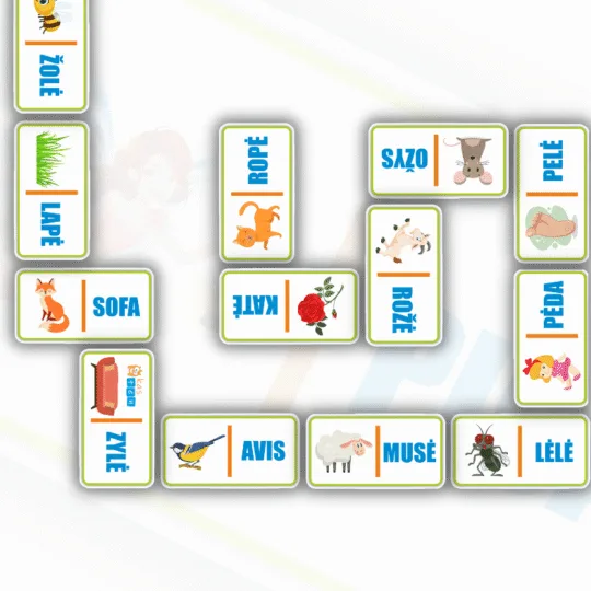 Domino-skaitymui-zodis-is-keturiu-raidziu